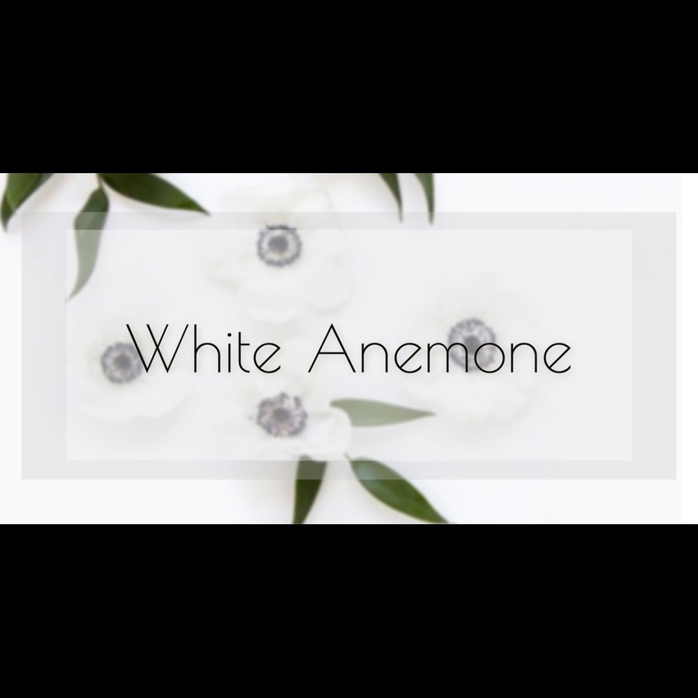 Name brand clothes,accessories and household items